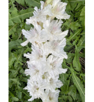 Прогулка по Облакам