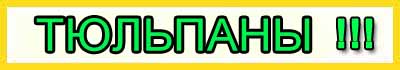 Луковицы тюльпанов почтой России